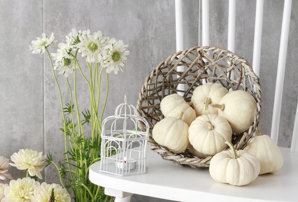 Try a clever vignette if you are looking for fall decor ideas, put together a grouping of objects to draw the eyes!
