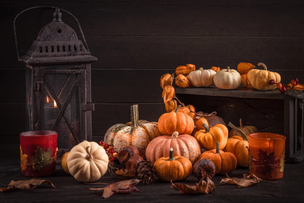 a gathering of pumpkins with a vintage lantern